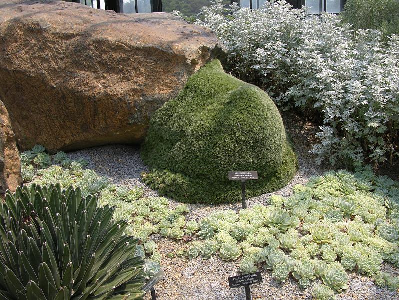 DSCN0625.JPG