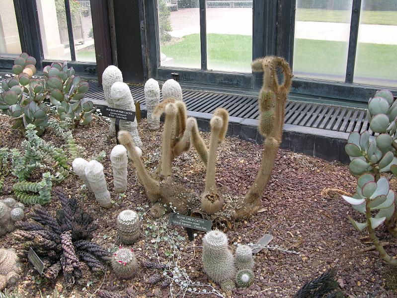 DSCN0632.JPG