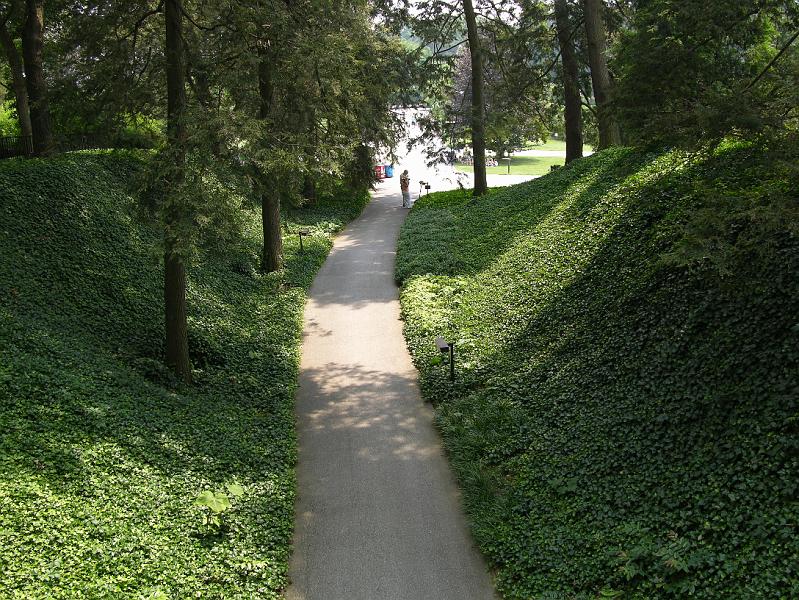 DSCN0650.JPG