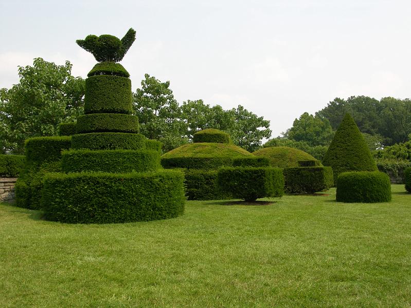 DSCN0667.JPG