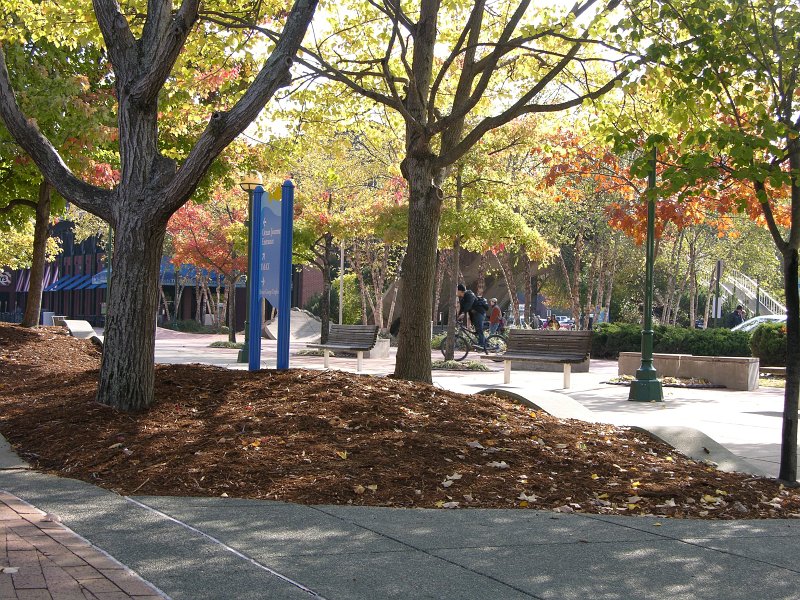 DSCN3090.JPG