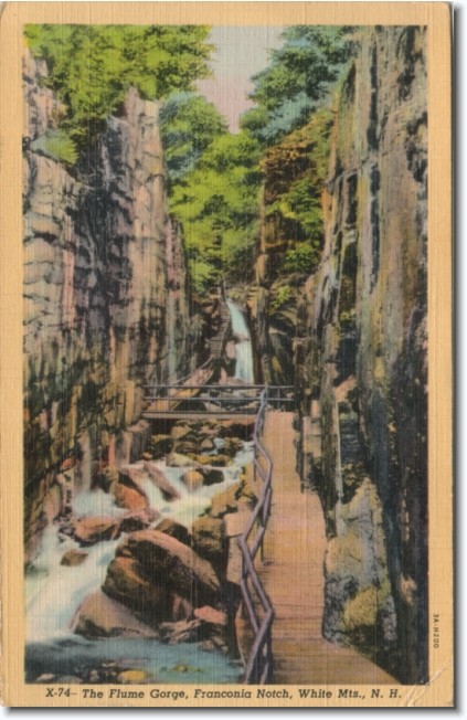 You have reached the last slide